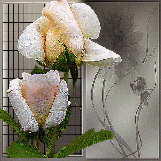 Pi7_Qrijvpvglkd9NZwpfo0jzHEaFj3M4OLD0Ze5MbR1woC9-Y-R5rVFD4ZocQqq.gif