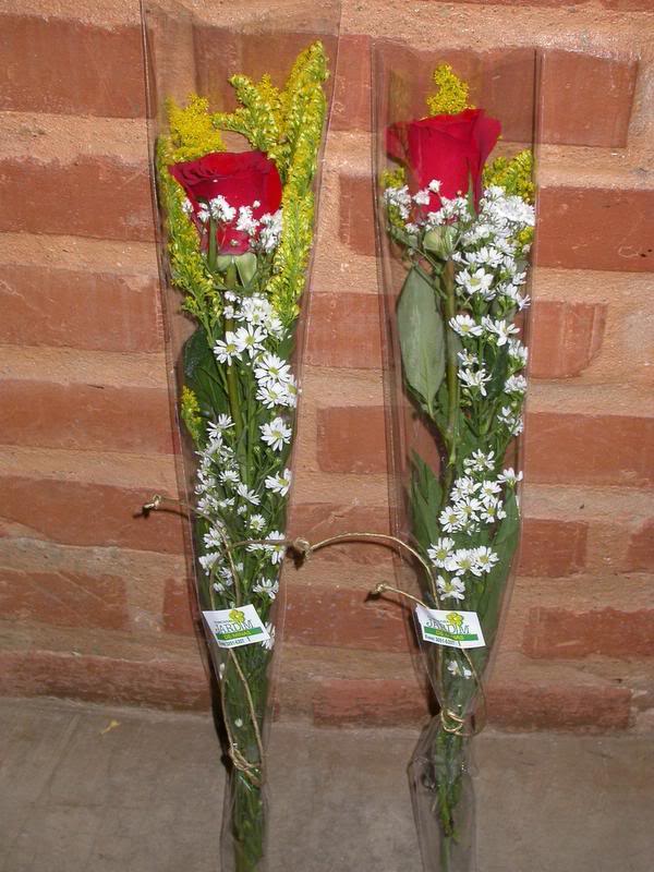 Flower Pictures Photo Sharing Funny Pics