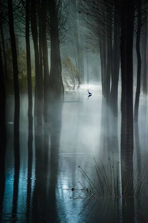 ooMXhIpYXJAc61QEoz1t-Qn6xBQDIoSBwkiQdWCwYtuC2a1BiiAxmcKyf43og-1U.jpg