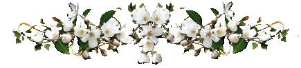v0WXB1pMGfTRYX8hVhXnHitrH-Jkg4bHMguat7Rn1k9Lu2yxdBW62vyIXAEQj8LO.gif