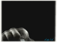 03PSteoM6.gif