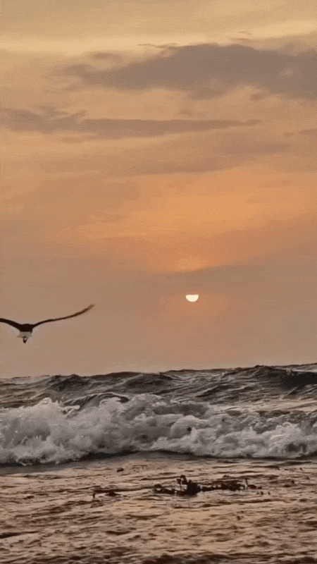 ylBFogxuz0f3Ok9X6mHIx0fYmoJxwlWt1jh0D031zA0L61p54BHAxkZ_rkJAle3q.gif