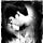 Shikikato